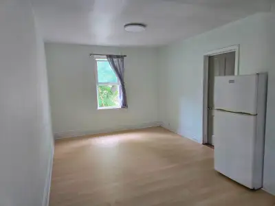 One bedroom plus Downtown close to University of Winnipeg