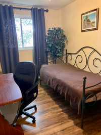 Room for rent - Guelph 