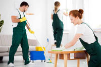 Cleaning Lady Available Today | Quick      - Efficient    |