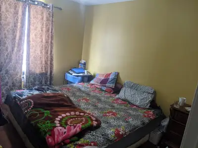 1 Sharing Room Available for Female at Malton. Rent $450 Include Utilities,Mattress & Wifi. Availabl...