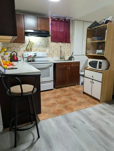 Hi! Looking for a female professional or student to rent the second bedroom in my basement apartment...