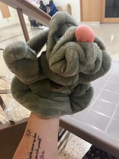 Wrinkles Puppy Dog Plush by Ganzbros Toys 10"- 1985 Selling my collections to pay for food and gas....