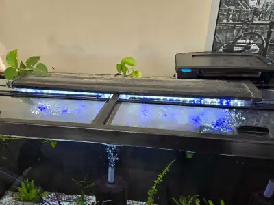 55 gallon fish tank, View more