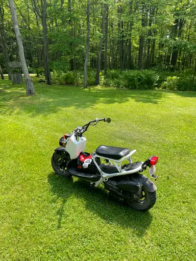 Ruckus 4t (négociable UN PEU) Près pour l’été 50cc 15 000km J’ai changé les Miroirs et les clignotan...