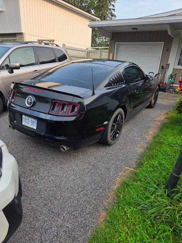 2014 Mustang557469095597199361