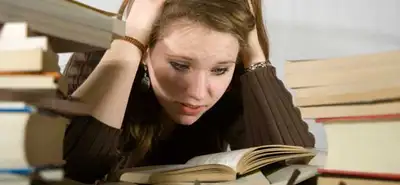 University Assignment Help - Essay Writing/Dissertation/Projects, View more