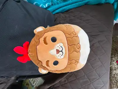 2 squishmallows tags on, one plushy sloth like new and pair of girls doggie slippers tried on but ne...