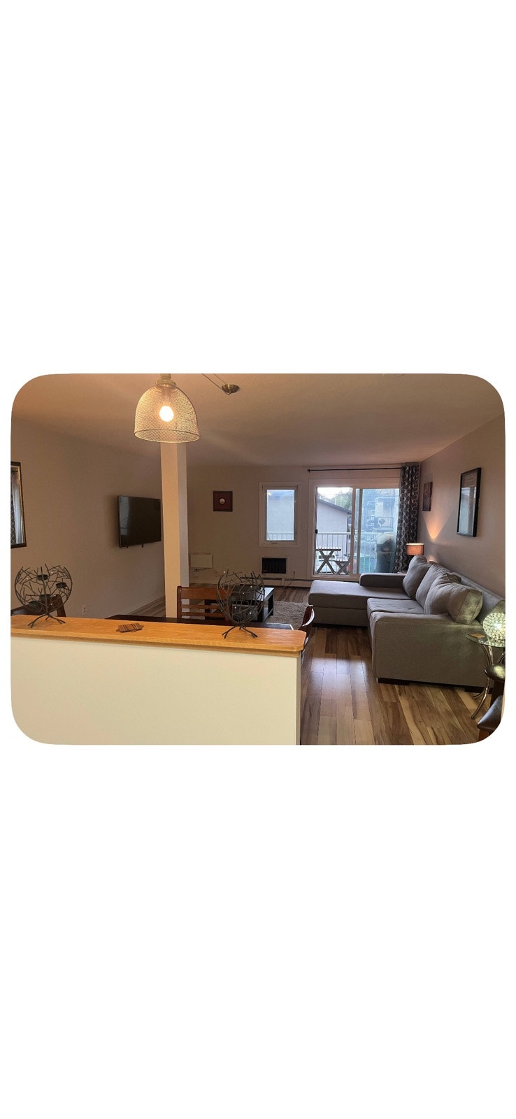 Downtown 1 Bedroom Condo for Rent for Dec 1 2