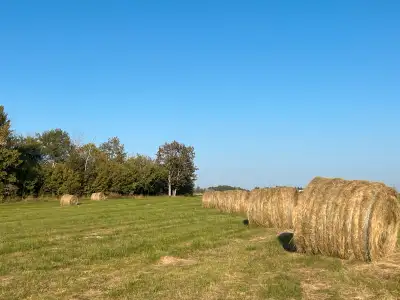 hay for sale!!, View more