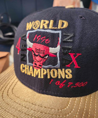 1996 Chicago Bulls World Champions Michael Jordan Snapback Hat