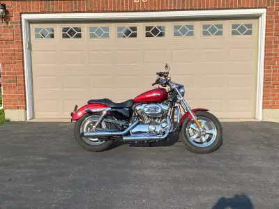 2012 Harley Davidson Sportster XL1200C 18,000 klm Senior 70 Owned Excellent Condition Bone Stock and...