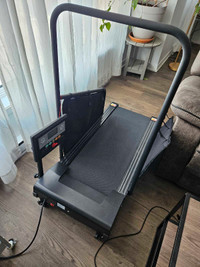 Tapis roulant pour chien / Treadmill for dogs