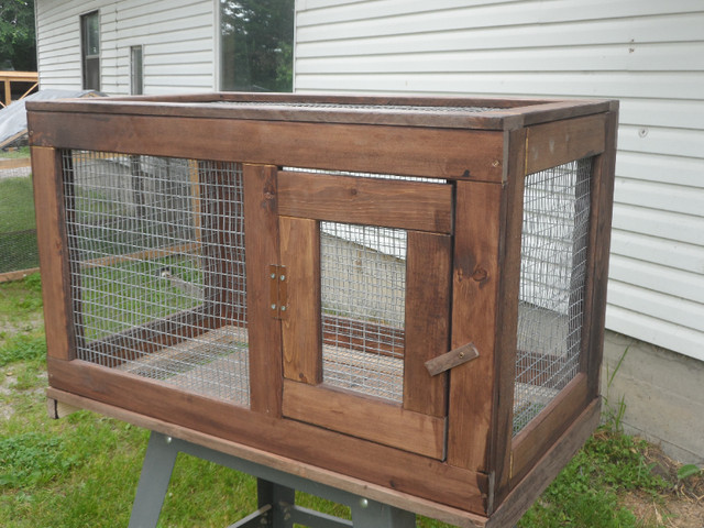 Small animal or bird cage in Accessories in Renfrew - Image 3