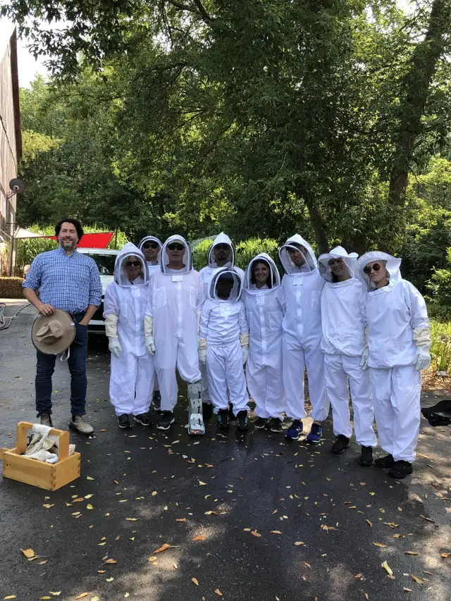 Intro to Beekeeping Course65734927236738123