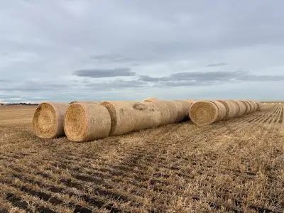 Straw Bales For Sale, View more