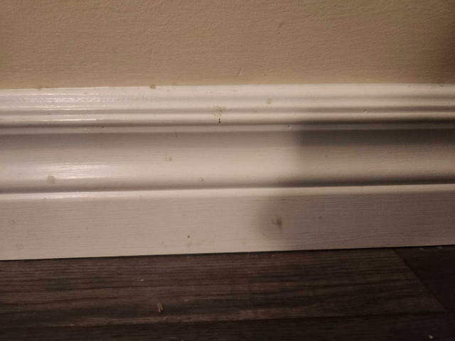 Used Crown molding/ casing/header/ baseboards in Other in Moncton - Image 4