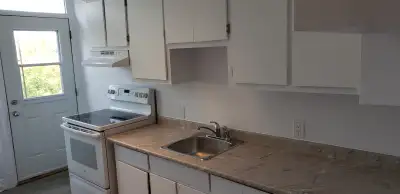 Appartement à louer/Métro Pie IX