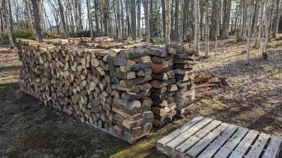 Bois pour feu de camp, View more
