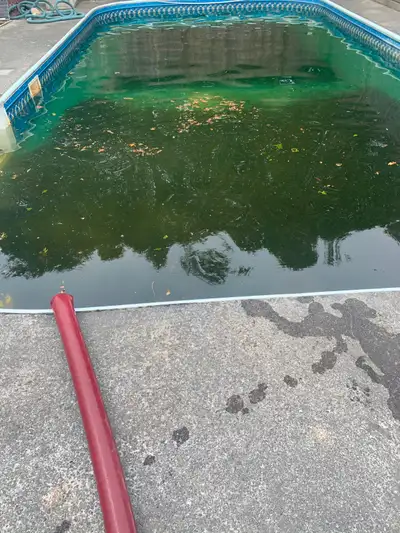 Service Professionnel Ouverture de Piscine, View more