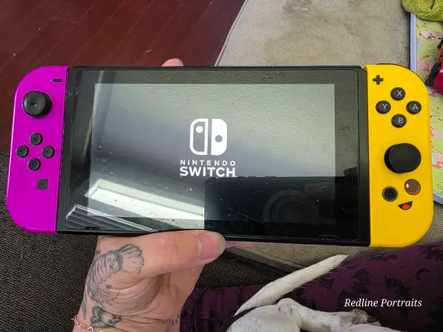Nintendo switch503563659039232001