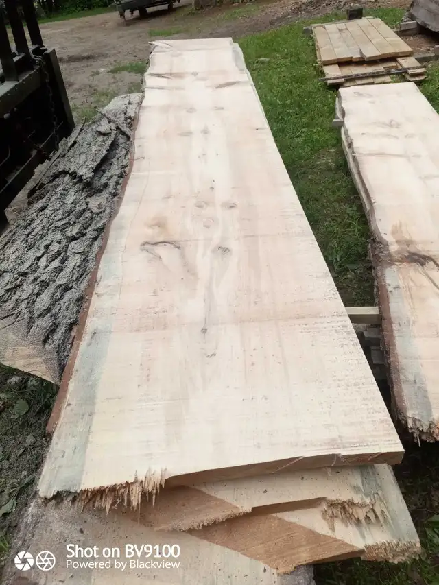 Live edge white pine in Hobbies & Crafts in Ottawa - Image 3