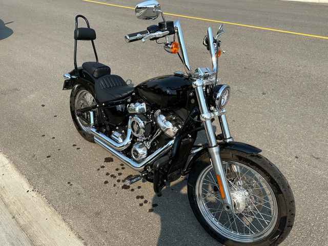 2021 Harley Davidson Softail Standard in Street, Cruisers & Choppers in Grande Prairie - Image 3