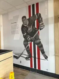 Professional Wallpaper installation 