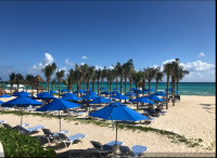 The Reef PlayacarAll inclusive Resort in Playa del Carmen-Mexico