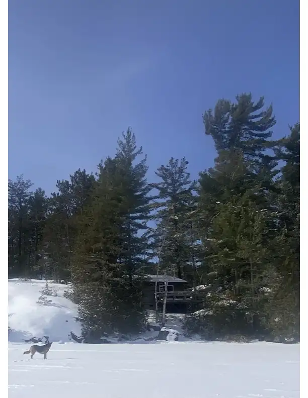 SNOW MIBILE, ICEFISH, COTTAGES in Ontario in Canada - Image 15