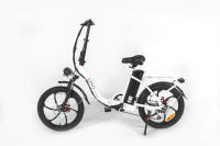 Linq 48v Folding E-Bicycle (lifetime motor and frame warranty)