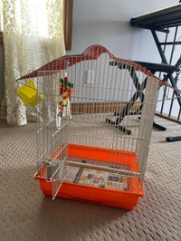 Small Bird Cage