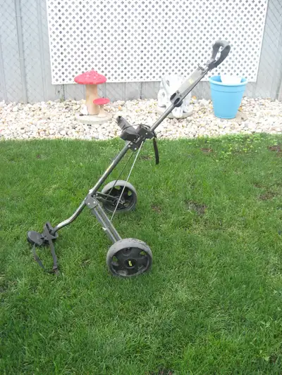 Golf Cart Bag Boy M-300. N. Kildonan., View more