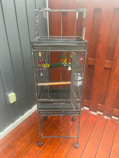 Bird cage, View more