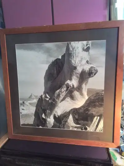 Large Framed Black and White Photograph of Driftwood, View more