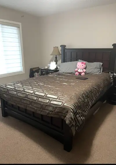Shared 2 bedroom Apartment for rent in downtown Edmonton