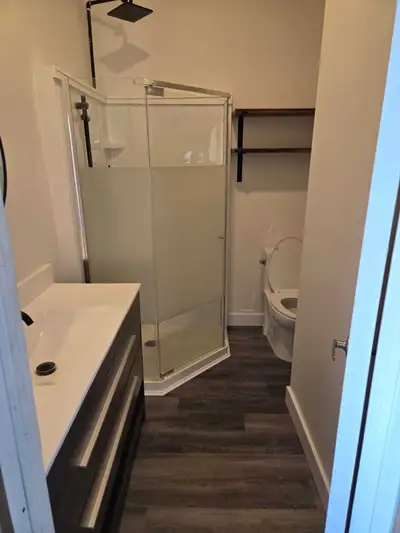 Perfect apartment for a Bachelor, 1 bedroom with living space with a yard Kitchennet, full bathrooms...