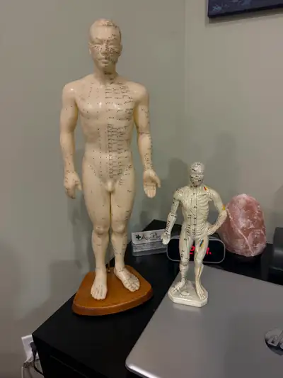 ACUPUNCTURE MODELS (2, both male), View more