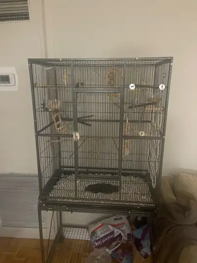 Young Budgie Pair + Huge 64" Deluxe Flight Cage (Full Setup), View more