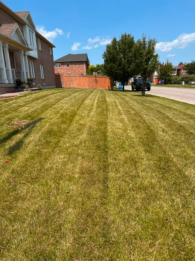 LAWN CARE SERVICES STARTING AT $35628637137003541222