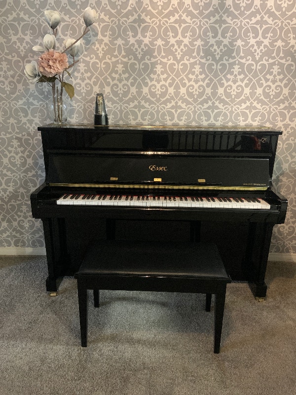 Beautiful Essex Steinway and Sons piano 2018 Pianos & Keyboards