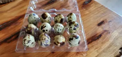 Hello, feeder quail eggs for sale. Great treats or feed for snakes, lizards and rodents! Add to your...