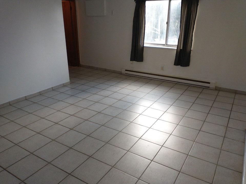 Large 1 Bedroom Apt. Downtown. All incl. utils. $1,250 2