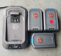 2x20v Hoover bh03120 battery kit