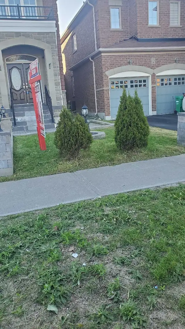 Lawn Mowing Service (Residential & Commercial) in Lawn, Tree Maintenance & Eavestrough in Mississauga / Peel Region - Image 6