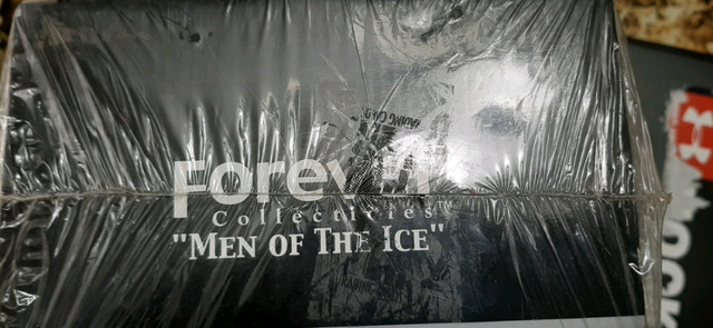 Rare Bobblehead Forever Men of the Ice Peter Forsberg All Star dans Art et objets de collection  à Trois-Rivières - Image 4