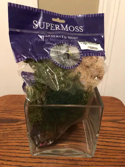 5" X 5" X 5" Glass Orchid Pot with Preserved Moss, View more