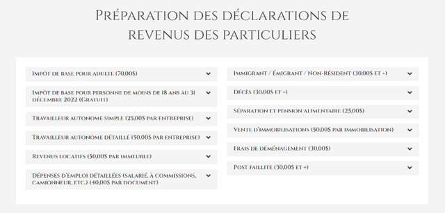 Tenue de livres (comptabilité) et déclaration de revenus (impôt) dans Services financiers et juridiques  à Lévis - Image 3