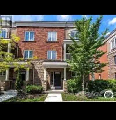 York University rentals  4 bedrooms