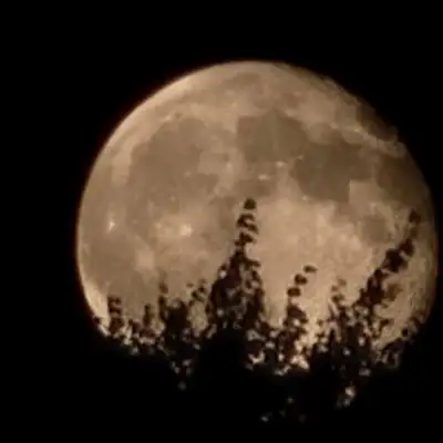 door to door sales, View more