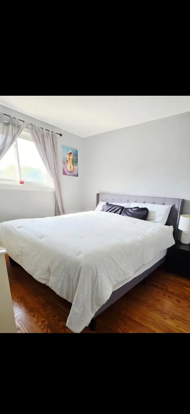 Free Bedframe with BedStory King Mattress Purchase! in Beds & Mattresses in City of Toronto - Image 4